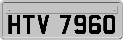 HTV7960