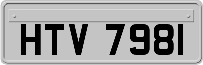 HTV7981