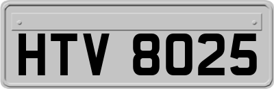 HTV8025