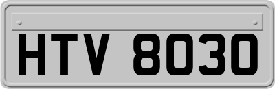 HTV8030