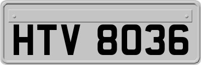HTV8036
