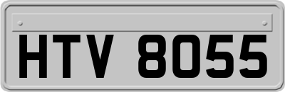 HTV8055