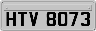 HTV8073