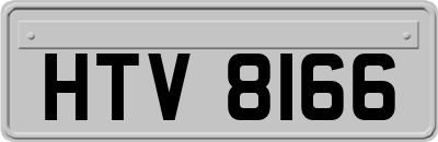 HTV8166