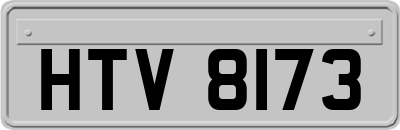HTV8173