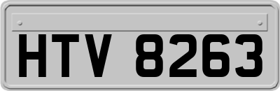 HTV8263