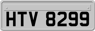 HTV8299