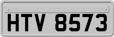HTV8573