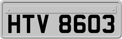 HTV8603
