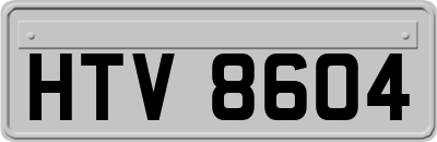 HTV8604