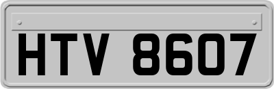 HTV8607