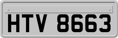HTV8663