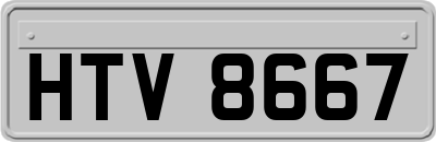 HTV8667