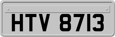 HTV8713