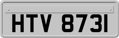 HTV8731