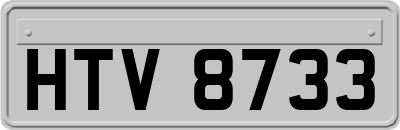 HTV8733