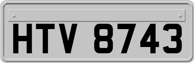 HTV8743