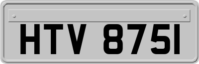 HTV8751