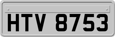 HTV8753