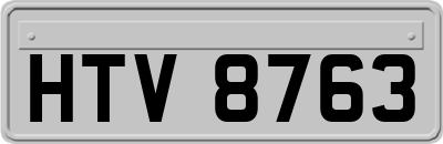 HTV8763