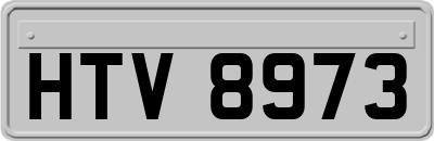 HTV8973