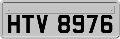 HTV8976