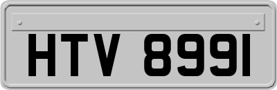 HTV8991