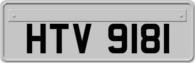 HTV9181