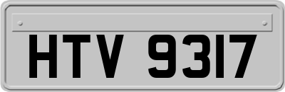 HTV9317