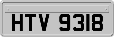 HTV9318