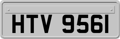 HTV9561