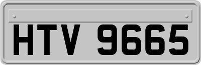 HTV9665