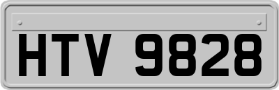 HTV9828