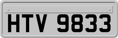 HTV9833