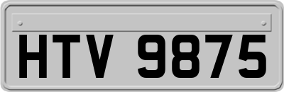 HTV9875