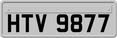 HTV9877