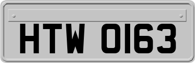HTW0163