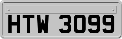 HTW3099