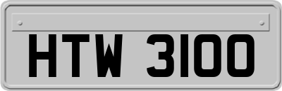 HTW3100