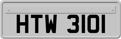 HTW3101