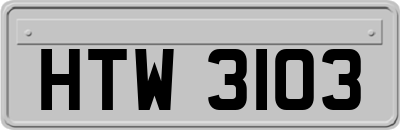 HTW3103