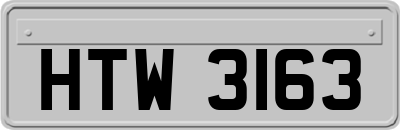 HTW3163