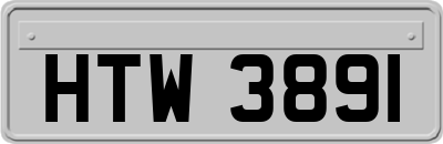 HTW3891