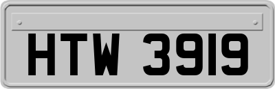 HTW3919