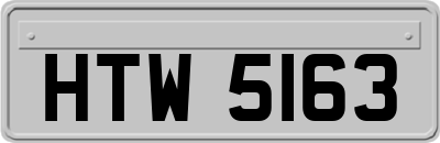 HTW5163