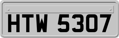 HTW5307