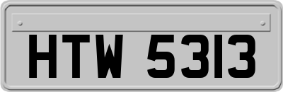 HTW5313