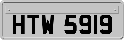 HTW5919