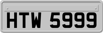 HTW5999