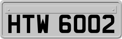 HTW6002